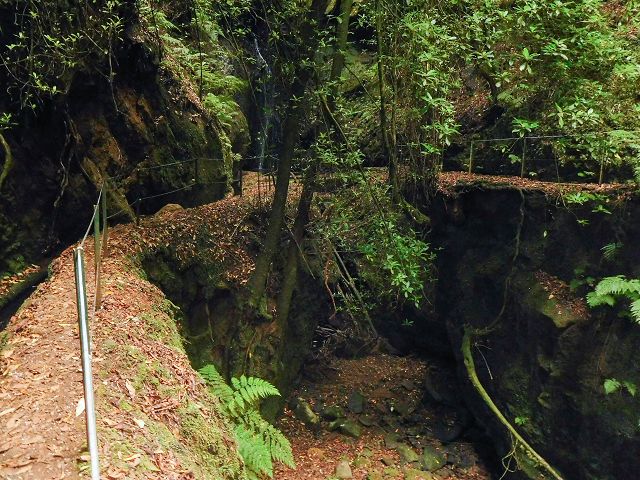 15.08.2017 Rundwanderung in Achadas da Cruz — Passage des westlichen Armes der Ribeira do Tristao — Foto 2