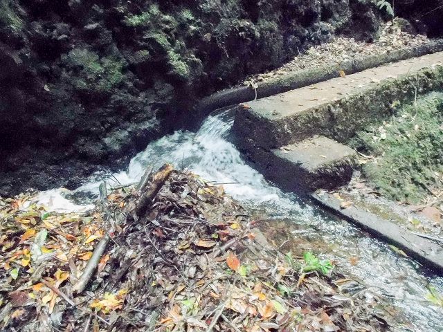 15.08.2017 Rundwanderung in Achadas da Cruz — Passage des westlichen Armes der Ribeira do Tristao — Foto 5