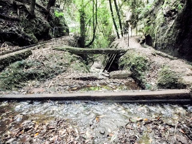 15.08.2017 Rundwanderung in Achadas da Cruz — Passage des westlichen Armes der Ribeira do Tristao — Foto 6