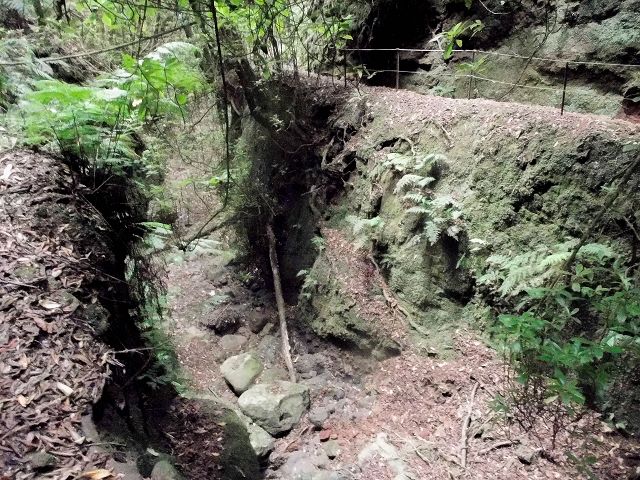 15.08.2017 Rundwanderung in Achadas da Cruz — Passage des westlichen Armes der Ribeira do Tristao — Foto 8