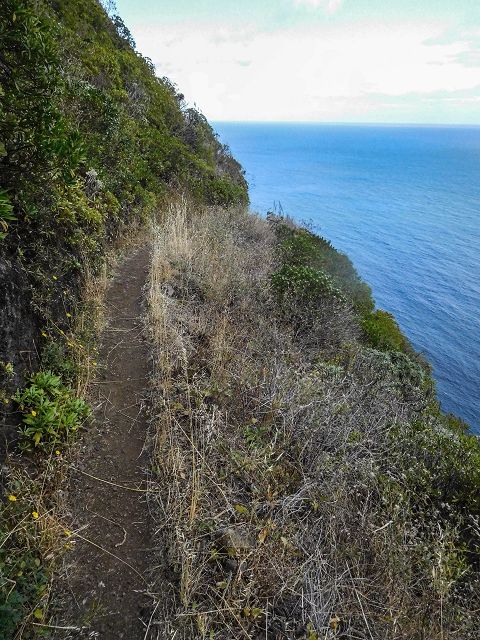 15.08.2017 Rundwanderung in Achadas da Cruz — Von der Seilbahnstation zur Calhau das Achadas da Cruz — Foto 18