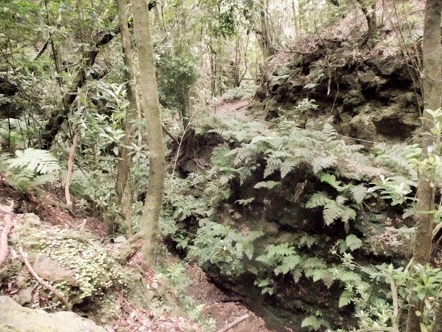 15.08.2017 Rundwanderung in Achadas da Cruz — Passage des westlichen Armes der Ribeira do Tristao — Foto 9