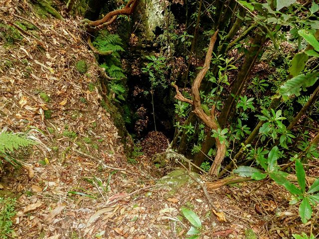 15.08.2017 Rundwanderung in Achadas da Cruz — Passage des westlichen Armes der Ribeira do Tristao — Foto 13