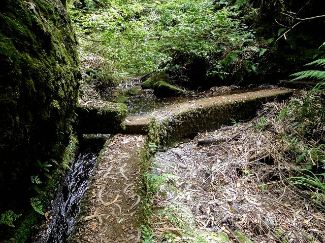 15.08.2017 Rundwanderung in Achadas da Cruz — Passage des westlichen Armes der Ribeira do Tristao — Foto 14