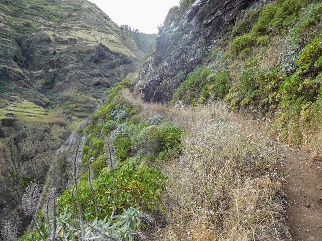 15.08.2017 Rundwanderung in Achadas da Cruz — Von der Seilbahnstation zur Calhau das Achadas da Cruz — Foto 19