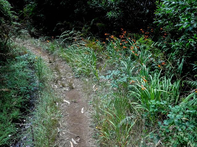 15.08.2017 Rundwanderung in Achadas da Cruz — Passage des westlichen Armes der Ribeira do Tristao — Foto 20