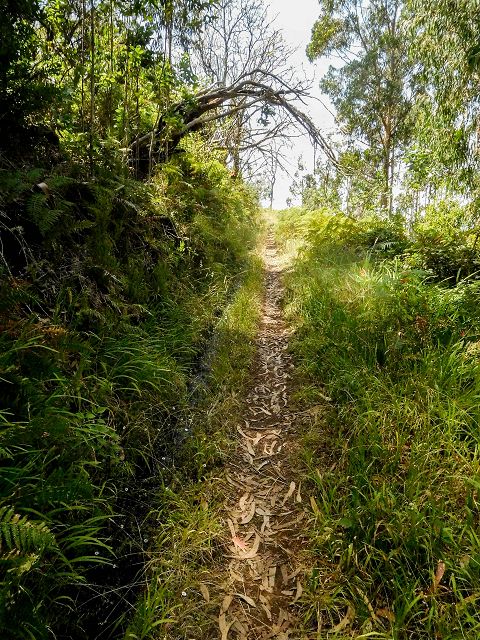15.08.2017 Rundwanderung in Achadas da Cruz — Passage des westlichen Armes der Ribeira do Tristao — Foto 21