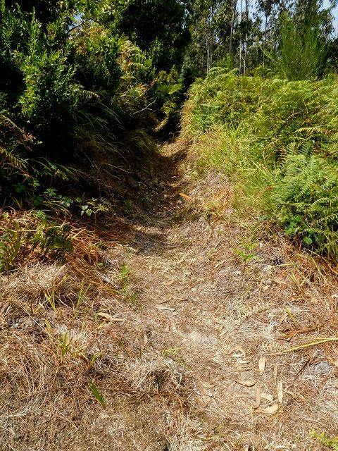 15.08.2017 Rundwanderung in Achadas da Cruz — Abstieg und zurück zum Ausgangspunkt — Foto 1