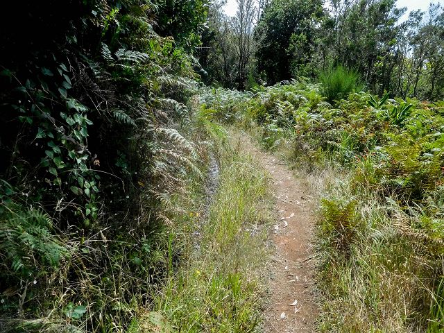 15.08.2017 Rundwanderung in Achadas da Cruz — Passage des westlichen Armes der Ribeira do Tristao — Foto 22
