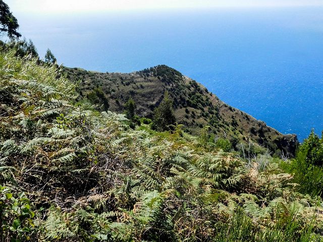15.08.2017 Rundwanderung in Achadas da Cruz — Abstieg und zurück zum Ausgangspunkt — Foto 2