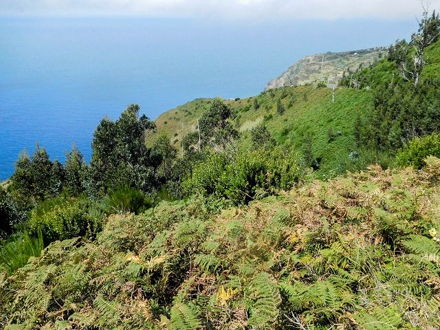 15.08.2017 Rundwanderung in Achadas da Cruz — Abstieg und zurück zum Ausgangspunkt — Foto 3