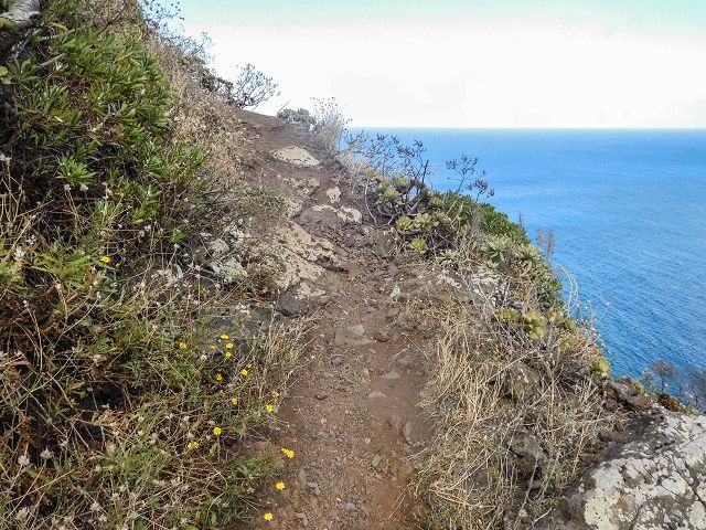 15.08.2017 Rundwanderung in Achadas da Cruz — Von der Seilbahnstation zur Calhau das Achadas da Cruz — Foto 20
