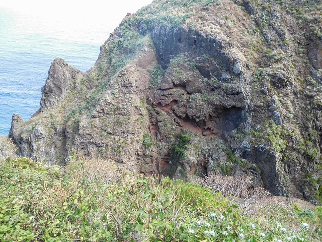 15.08.2017 Rundwanderung in Achadas da Cruz — Von der Seilbahnstation zur Calhau das Achadas da Cruz — Foto 22