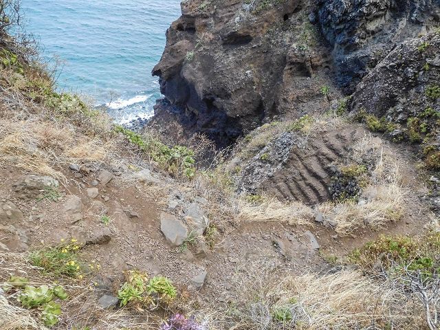 15.08.2017 Rundwanderung in Achadas da Cruz — Von der Seilbahnstation zur Calhau das Achadas da Cruz — Foto 23