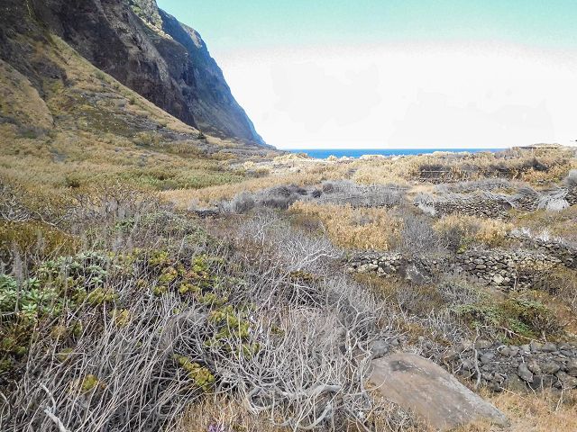 15.08.2017 Rundwanderung in Achadas da Cruz — Von der Seilbahnstation zur Calhau das Achadas da Cruz — Foto 27