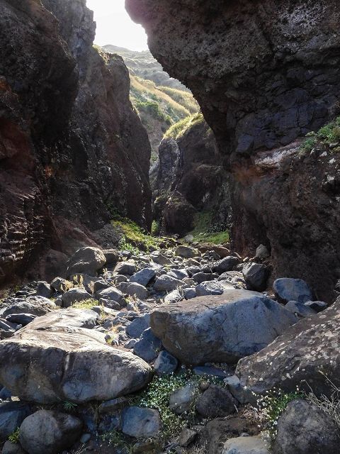 15.08.2017 Rundwanderung in Achadas da Cruz — Aufstieg auf der Vereda da Ladeira nach Pombais — Foto 1