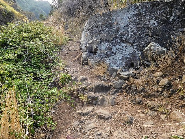 15.08.2017 Rundwanderung in Achadas da Cruz — Aufstieg auf der Vereda da Ladeira nach Pombais — Foto 7