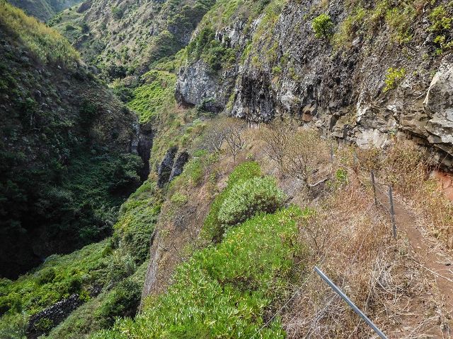 15.08.2017 Rundwanderung in Achadas da Cruz — Aufstieg auf der Vereda da Ladeira nach Pombais — Foto 8