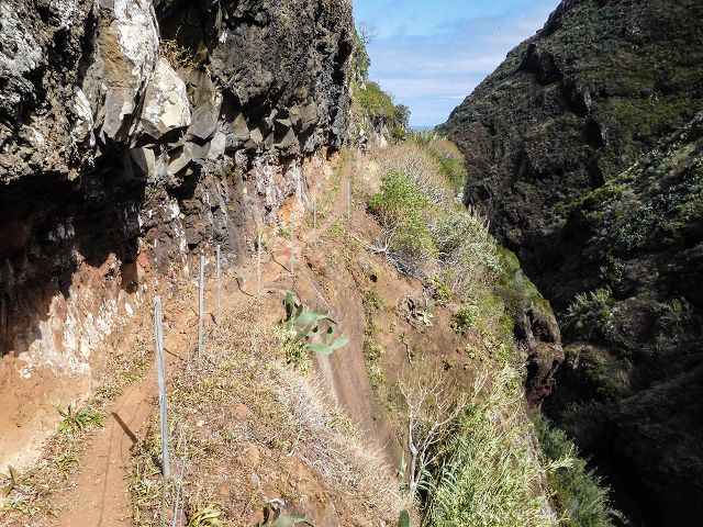 15.08.2017 Rundwanderung in Achadas da Cruz — Aufstieg auf der Vereda da Ladeira nach Pombais — Foto 9