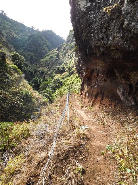 15.08.2017 Rundwanderung in Achadas da Cruz — Aufstieg auf der Vereda da Ladeira nach Pombais — Foto 10