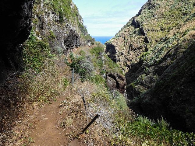 15.08.2017 Rundwanderung in Achadas da Cruz — Aufstieg auf der Vereda da Ladeira nach Pombais — Foto 11