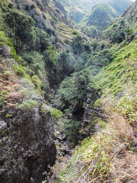 15.08.2017 Rundwanderung in Achadas da Cruz — Aufstieg auf der Vereda da Ladeira nach Pombais — Foto 12