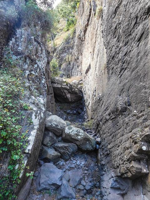 15.08.2017 Rundwanderung in Achadas da Cruz — Aufstieg auf der Vereda da Ladeira nach Pombais — Foto 15
