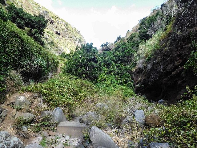 15.08.2017 Rundwanderung in Achadas da Cruz — Aufstieg auf der Vereda da Ladeira nach Pombais — Foto 16