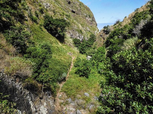 15.08.2017 Rundwanderung in Achadas da Cruz — Aufstieg auf der Vereda da Ladeira nach Pombais — Foto 17