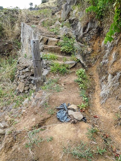 15.08.2017 Rundwanderung in Achadas da Cruz — Aufstieg auf der Vereda da Ladeira nach Pombais — Foto 22