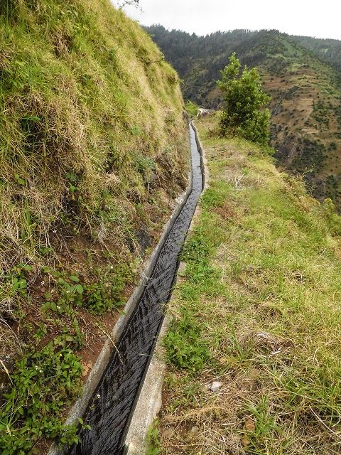 15.08.2017 Rundwanderung in Achadas da Cruz — Zur Madre der Levada dos Pombais inf und zurück zum Pfad zur oberen Levada — Foto 4