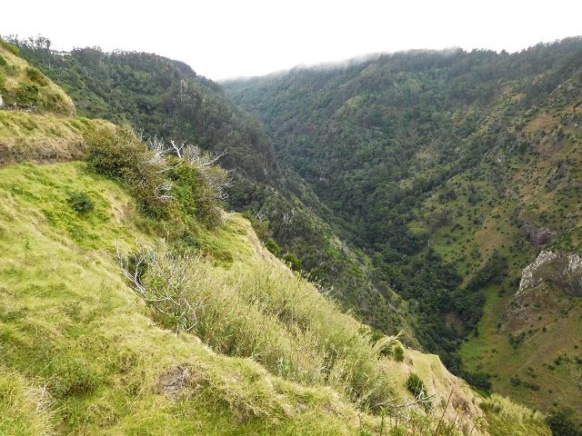 15.08.2017 Rundwanderung in Achadas da Cruz — Zur Madre der Levada dos Pombais inf und zurück zum Pfad zur oberen Levada — Foto 6