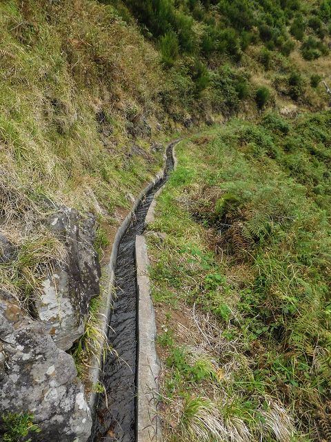15.08.2017 Rundwanderung in Achadas da Cruz — Zur Madre der Levada dos Pombais inf und zurück zum Pfad zur oberen Levada — Foto 8