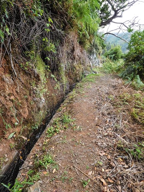 15.08.2017 Rundwanderung in Achadas da Cruz — Zur Madre der Levada dos Pombais inf und zurück zum Pfad zur oberen Levada — Foto 10