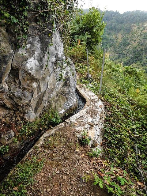 15.08.2017 Rundwanderung in Achadas da Cruz — Zur Madre der Levada dos Pombais inf und zurück zum Pfad zur oberen Levada — Foto 11