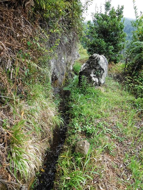 15.08.2017 Rundwanderung in Achadas da Cruz — Zur Madre der Levada dos Pombais inf und zurück zum Pfad zur oberen Levada — Foto 12