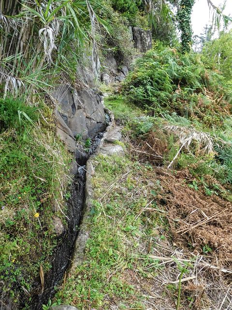 15.08.2017 Rundwanderung in Achadas da Cruz — Zur Madre der Levada dos Pombais inf und zurück zum Pfad zur oberen Levada — Foto 14