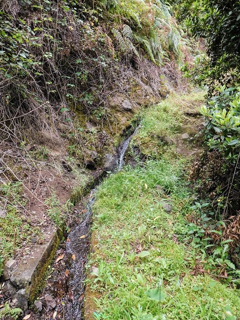15.08.2017 Rundwanderung in Achadas da Cruz — Zur Madre der Levada dos Pombais inf und zurück zum Pfad zur oberen Levada — Foto 15