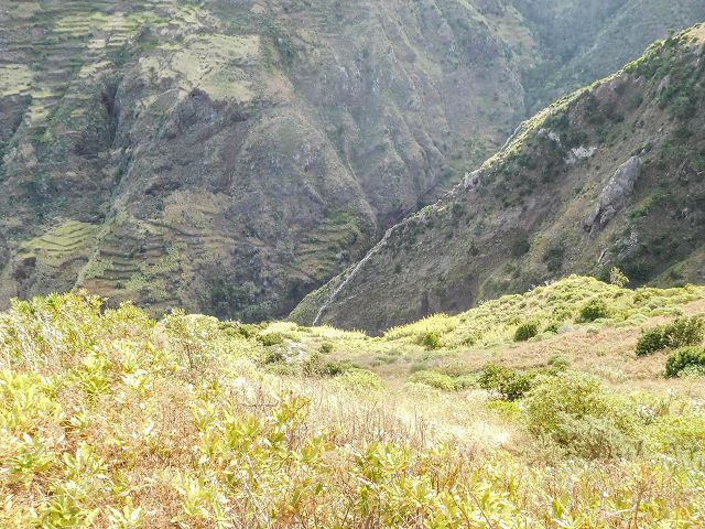 15.08.2017 Rundwanderung in Achadas da Cruz — Von der Seilbahnstation zur Calhau das Achadas da Cruz — Foto 8