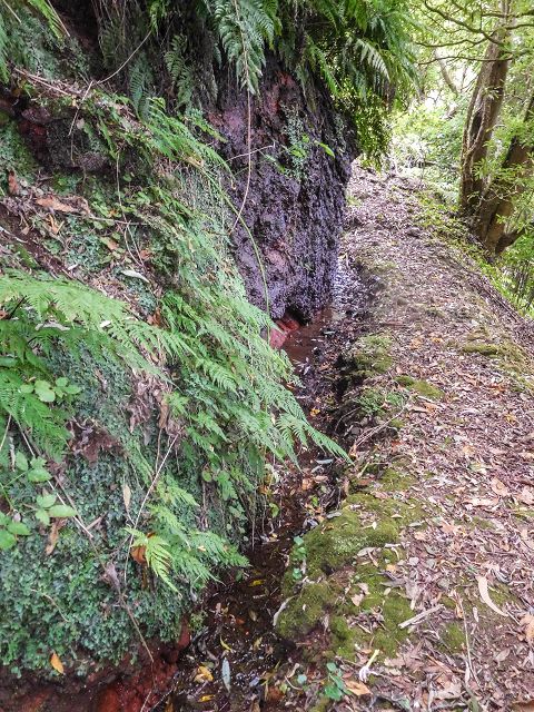 15.08.2017 Rundwanderung in Achadas da Cruz — Zur Madre der Levada dos Pombais inf und zurück zum Pfad zur oberen Levada — Foto 21