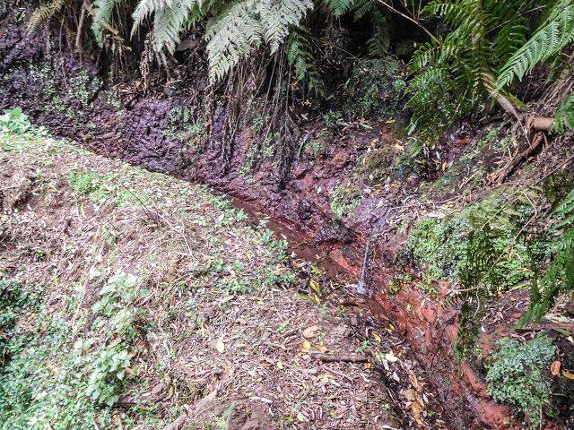 15.08.2017 Rundwanderung in Achadas da Cruz — Zur Madre der Levada dos Pombais inf und zurück zum Pfad zur oberen Levada — Foto 22