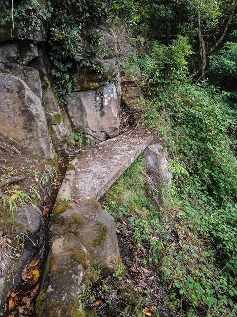 15.08.2017 Rundwanderung in Achadas da Cruz — Zur Madre der Levada dos Pombais inf und zurück zum Pfad zur oberen Levada — Foto 26