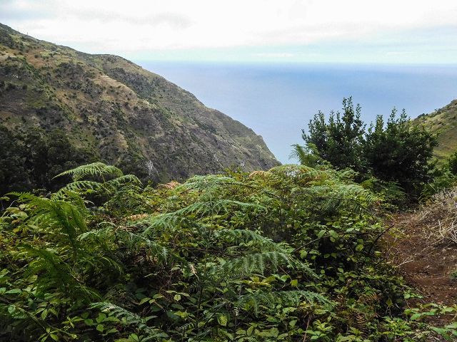 15.08.2017 Rundwanderung in Achadas da Cruz — Zur Madre der Levada dos Pombais inf und zurück zum Pfad zur oberen Levada — Foto 27