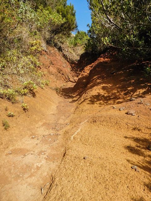 15.08.2017 Rundwanderung in Achadas da Cruz — Von der Seilbahnstation zur Calhau das Achadas da Cruz — Foto 9