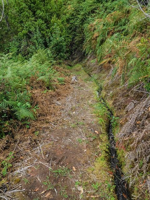 15.08.2017 Rundwanderung in Achadas da Cruz — Zur Madre der Levada dos Pombais inf und zurück zum Pfad zur oberen Levada — Foto 29