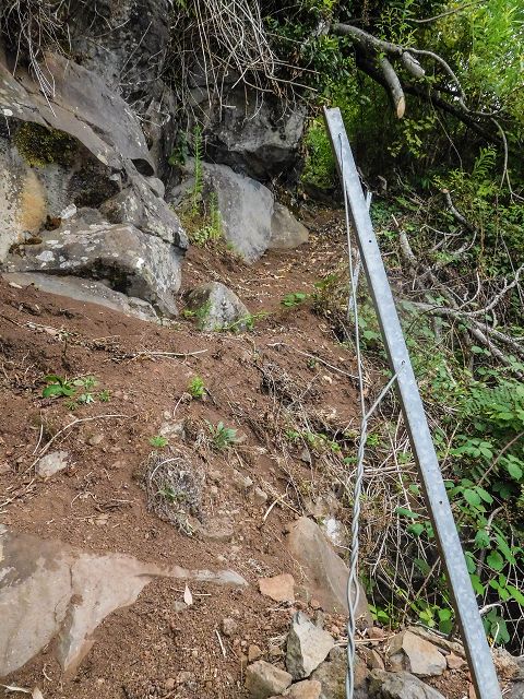 15.08.2017 Rundwanderung in Achadas da Cruz — Zur Madre der Levada dos Pombais inf und zurück zum Pfad zur oberen Levada — Foto 31