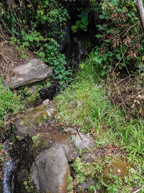 15.08.2017 Rundwanderung in Achadas da Cruz — Zur Madre der Levada dos Pombais inf und zurück zum Pfad zur oberen Levada — Foto 32