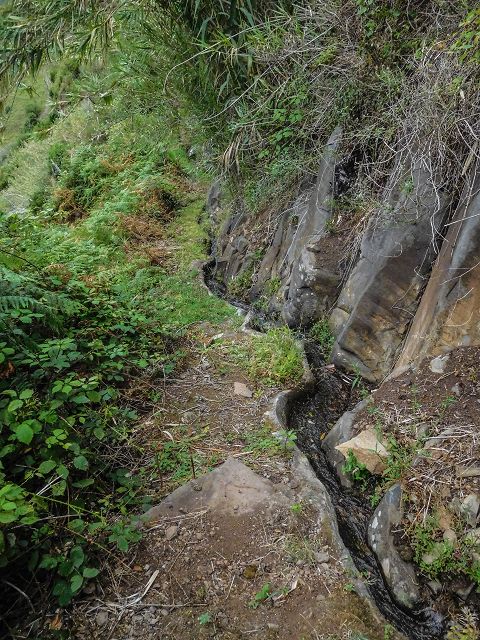 15.08.2017 Rundwanderung in Achadas da Cruz — Zur Madre der Levada dos Pombais inf und zurück zum Pfad zur oberen Levada — Foto 34
