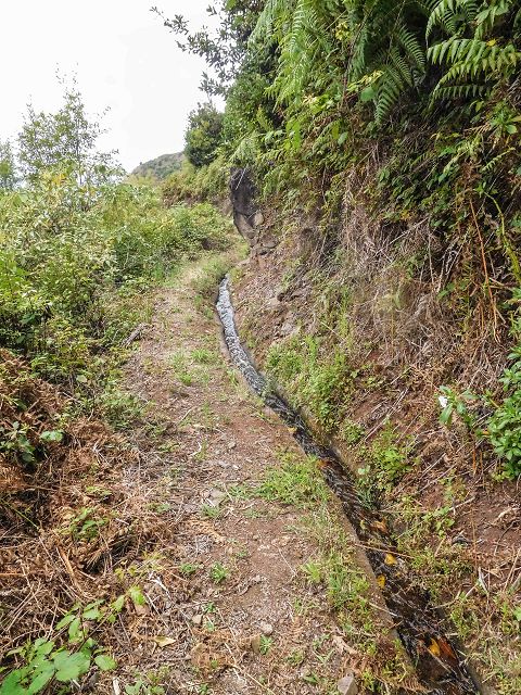 15.08.2017 Rundwanderung in Achadas da Cruz — Zur Madre der Levada dos Pombais inf und zurück zum Pfad zur oberen Levada — Foto 35