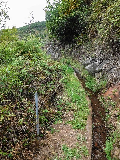 15.08.2017 Rundwanderung in Achadas da Cruz — Zur Madre der Levada dos Pombais inf und zurück zum Pfad zur oberen Levada — Foto 36